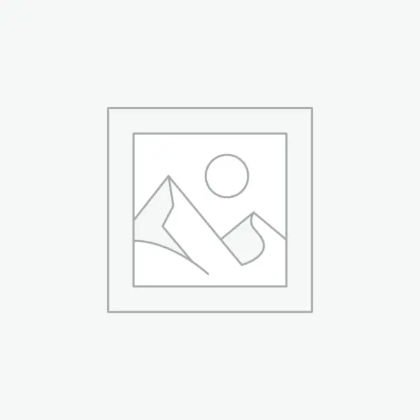 عنصر نائب Placeholder
